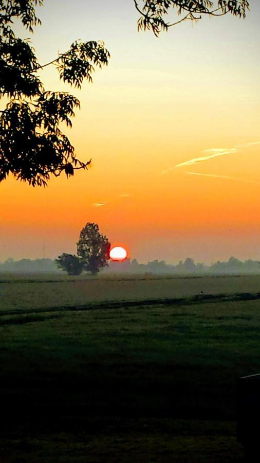 Het Kraaienbosch Bed & Breakfast Zegveld Bagian luar foto