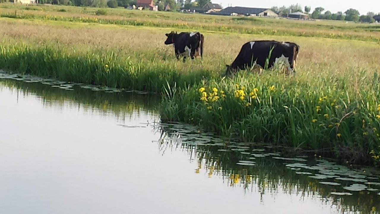 Het Kraaienbosch Bed & Breakfast Zegveld Bagian luar foto