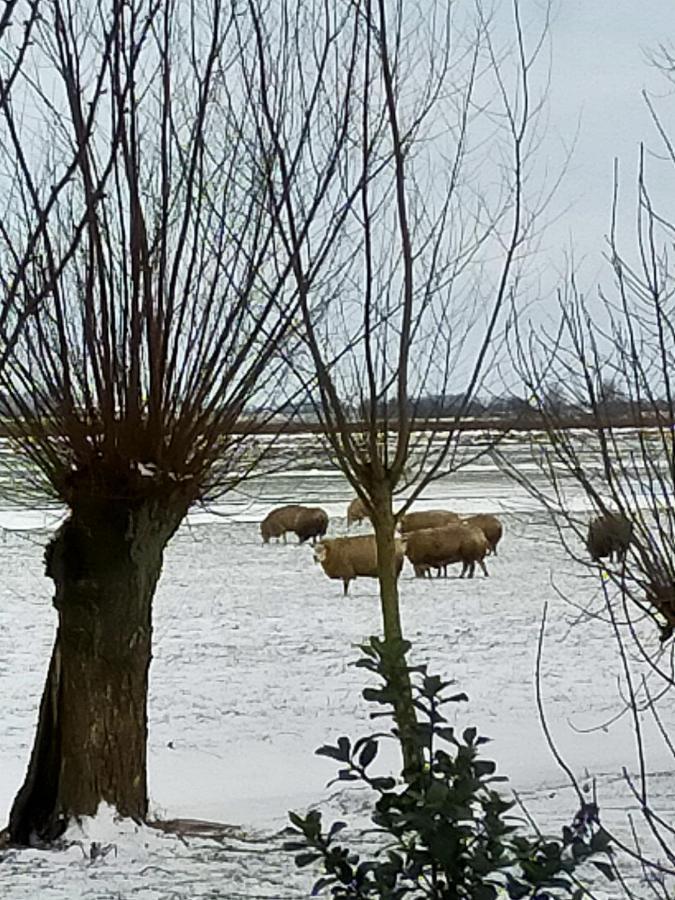 Het Kraaienbosch Bed & Breakfast Zegveld Bagian luar foto